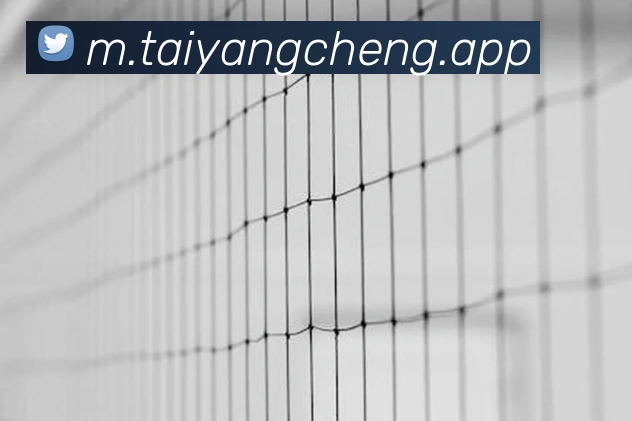 扫码下载 App